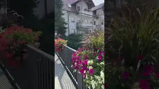#travelvlog