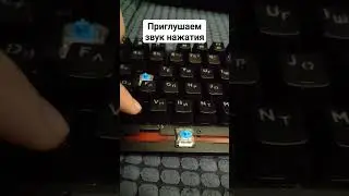 Вот, как избавится от громкого шума, при нажатии клавиш, в механической клавиатуре #помощь#техника