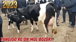 Yangiqo'rg'on Chorva bozor   2023 Yangi Narxlar