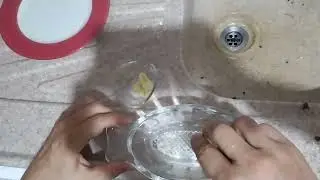Adem Otu Yararları ve Nasıl Hazırlanır Nasıl Kullanılır