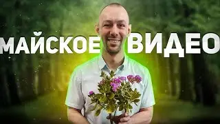 Новости PSYCards за май 2024