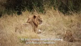 Angola Environment Ministry | Natural Parks (2018)