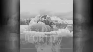 Earth Crawler - If These Trees Could Talk