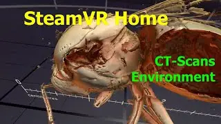 SteamVR Home: CT-Scans Environment