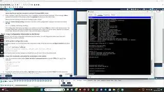 Packet Tracer - Explore Device Configuration Using the CLI (console)