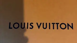 Seen here first Louis Vuitton SKATERS