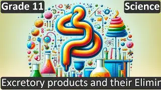 Excretory products and their Elimination | Class 11 | Science | Biology | CBSE | ICSE