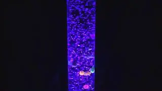 Autism Calming Sensory  Bubble Tube
