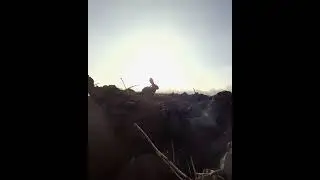 На рассвете