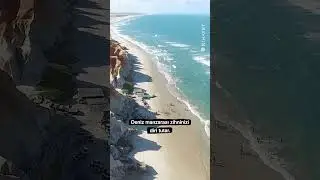 Denize bakmak bir terapi yöntemi mi ⛵