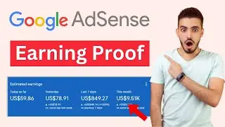 Google Adsense Earning Proof | Proof of Adsense Earning | How much we can earn from google adsense