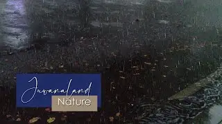 The sound of rain | For Sleep therapy and relaxing | ASMR white noise. 🎧