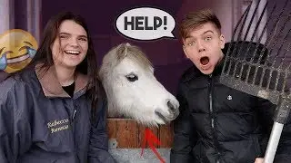 Looking After MY GIRLFRIENDS HORSES for 24 HOURS - How to groom and care for your horse with my GF