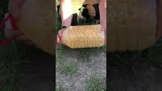 Один из лучших прикормов карповых. Кто согласен? 