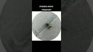 уффф
