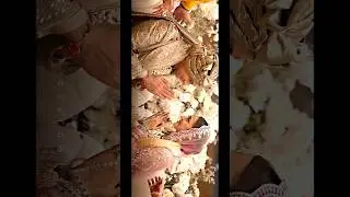Mahiye Jinna Sona #siddharthmalhotra #kiaraadvani #4kedit #4kstatus #mahiyejinnasohna #love #music