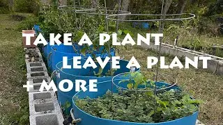 Take a Plant, Leave a Plant and More!