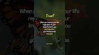 True Isn't It ? | Life Quotes | Motivation | English | Inspirational Quote #shorts #explore #quotes