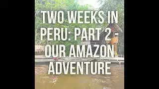 Our Peruvian Amazon Adventure - Treehouses, Sloths and Monkeys Galore