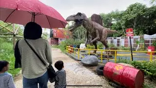 DINO ISLAND