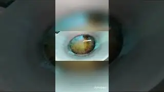 RESEPI BATANG BURUK SUSU