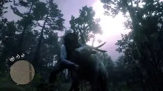 Red Dead Redemption 2 - Elk clean kill the safest way