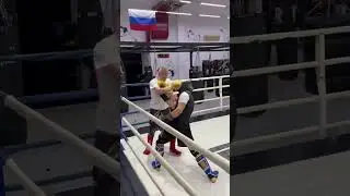 19 ноября 2023 г.