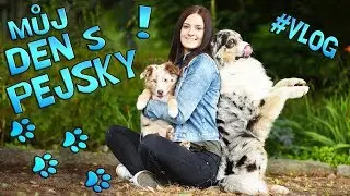 DENNÍ RUTINA SE PSY! - Můj den s Akimem a Merlinem | VLOG