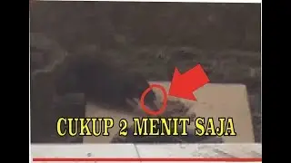 LIHATLAH REAKSI RAJA TIKUS INI SETELAH MAKAN RACUN TIKUS..!!  mice died after 2 minutes
