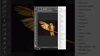 Clone Source - Photoshop Tutorial | 
