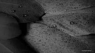 Ucleden - Insomnia (Freedo Mosho Edit)