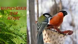 Кормушки для птиц. Фото