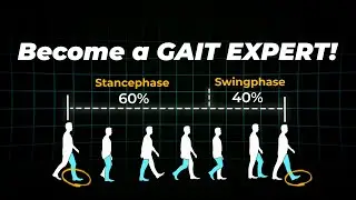The GAIT CYCLE explained! Orthotist & Prosthetist Edition!