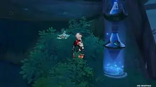 GENSHIN IMPACT HIDDEN TELEPORT WAYPOINT | DENDROCULUS #33865