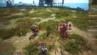 Black Desert Online Lan vs Striker