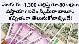 నెలకు రూ.1,300 చెల్లిస్తే రూ.80 లక్షలు వస్తాయా? ఇదేం స్కీమ్‌రా బాబూ.. కచ్చితంగా తెలుసుకోవాల్సిందే!