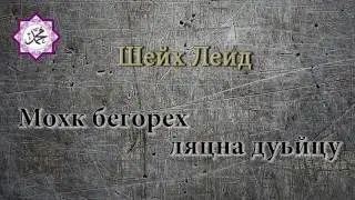Шейх Леид -  Мохк бегорех ляцна дуьйцу (сильное напоминание)