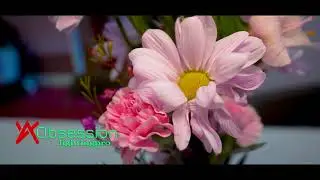 sony zv e10 video test 2024mp4