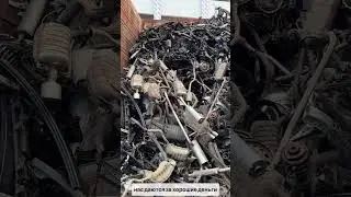 А Вы видели такое в России?