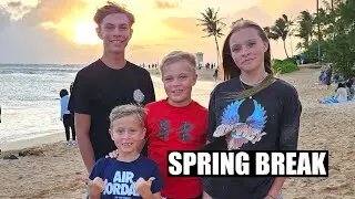 SPRING BREAK IN HAWAII! 🏝