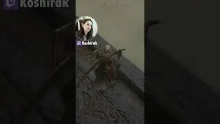 Повелась... #стрим #eldenring #стрим #девушкастримит #twitch #girl  #девушка #девушка