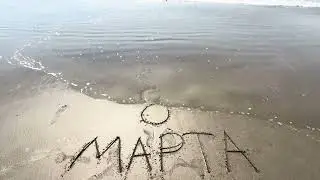 12 марта 2024 г.