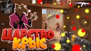 |Standoff 2|-Царство крыс