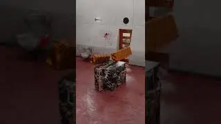 OMG😱😱😱 | САМОЕ ЗАЛИПАТЕЛЬНОЕ ВИДЕО | deamontol 
