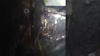 Заклепали стакан на Приоре