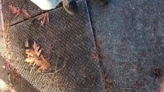 Kicking metal sound effect