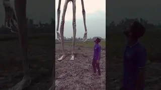siren head vs human 