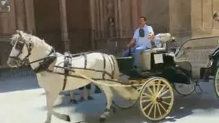 Пальма де Майорка 2016г.