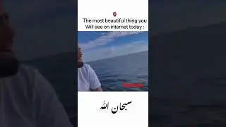 Subhan Allah#youtubeshorts #ytshort #allahuakbar