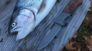Inland Rainbow Trout: Caught, Cleaned, & Cooked
